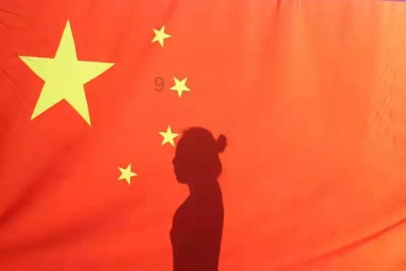 逃离金刚鹦鹉森林